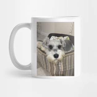 Cute Schnauzer Mug